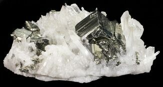 Gleaming, Cubic Pyrite & Quartz Cluster - Peru #54979