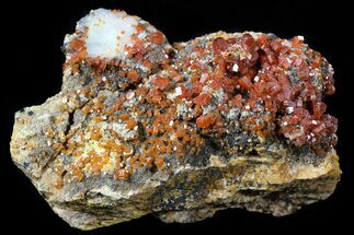 Cluster of Red Vanadinite Crystals - Midelt, Morocco #56260