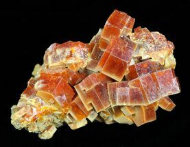 Red & Brown Vanadinite Crystals on Matrix - Morocco #57144