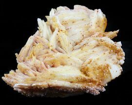 Tiny Red Vanadinite Crystals on Bladed Barite - Morocco #57250