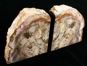 Large Petrified Wood Bookends - Madagascar #5044