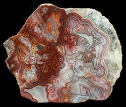 Polished, Red Crazy Lace Agate Slab - Mexico #60985