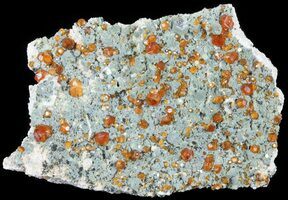 2.9 Black Andradite (Melanite) Garnet Cluster - Morocco (#107911) For Sale  