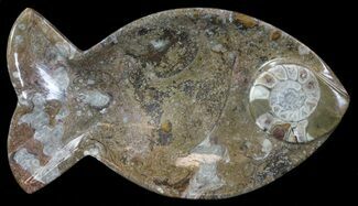 Fish-Shaped Fossil Goniatite Dish (Brown) - Stoneware #62454