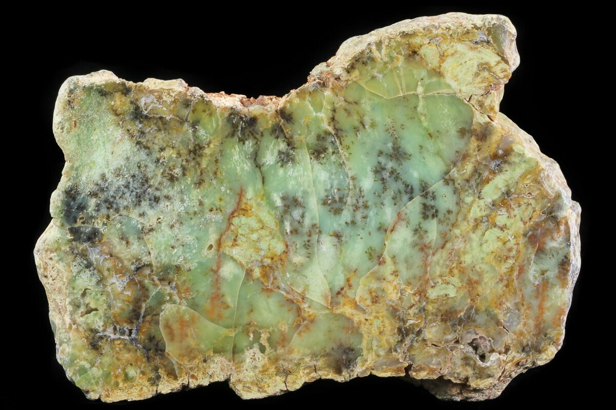 natural dendrite opal