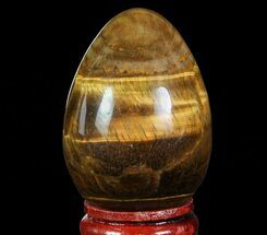Polished Tiger Eye Egg - South Africa #66075