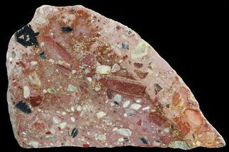 Polished Brecciated Chert Section - Australia #65435