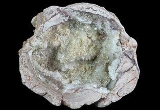 Bargain, 4.1" Crystal Filled Dugway Geode (Polished Half) - Crystal #67477