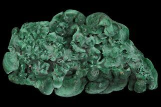 Silky, Botryoidal Malachite Crystal Formation - Congo #67452
