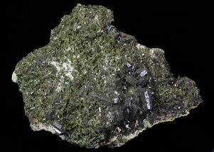 Epidote Crystal Cluster on Actinolite - Pakistan #68244