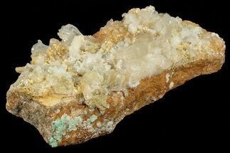 Ram's Horn Selenite on Matrix - Morocco #69905