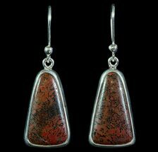 Agatized Dinosaur Bone (Gembone) Earrings - Sterling Silver #69963