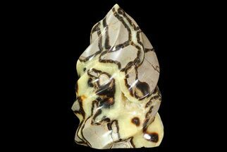 Polished Septarian Twist Sculpture - (Special Price) #71382