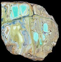Slab Of Clay Canyon Variscite - Old Collection Stock #39160