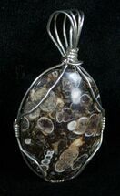 Silver Wire Wrapped Turritella Pendant #5956