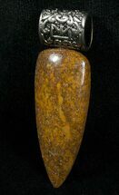 Brown Agatized Dinosaur Bone Pendant #5981