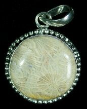 Fossil Coral Pendant #6014