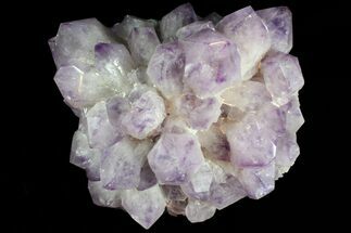 Wide Amethyst Crystal Cluster - Spectacular Display Piece #78154