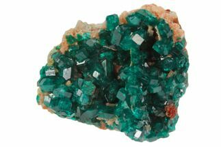 Sparkly, Gemmy Dioptase Crystal Cluster - Namibia #78701