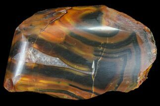 Polished Condor Agate From Argentina - Curved Cut Face #79623
