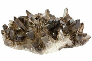 Beautiful, Smoky Quartz Crystal Cluster - Brazil #79930