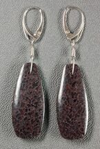 Dark, Spiderweb, Agatized Dinosaur Bone (Gembone) Earrings #84746