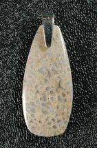 Gorgeous, Agatized Dinosaur Bone (Gembone) Pendant #84758
