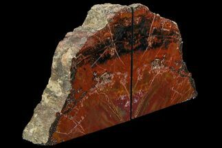 Tall Arizona Petrified Wood Bookends - Deep Red #86193