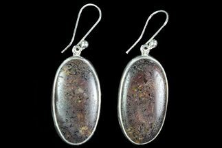 Agatized Dinosaur Bone (Gembone) Earrings - Sterling Silver #86546