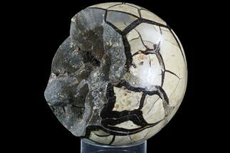 Septarian Dragon Egg Geode - (Special Price) #86911
