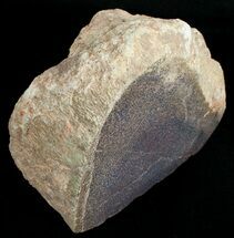 Large Agatized Dinosaur Bone Chunk (Polished) - oz #6442