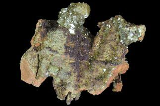 Yellow-Green Adamite Crystals - Durango, Mexico #88891