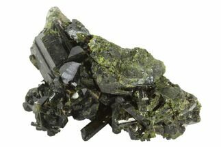 Lustrous 1.7" Epidote Crystal Cluster - Pakistan - Crystal #91969