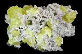 Sulfur Crystals on Matrix - Italy #92615
