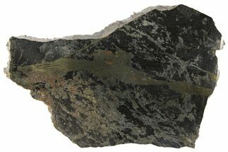 Polished, 3" Apache Gold (Chalcopyrite) Slab - Arizona - Crystal #93802