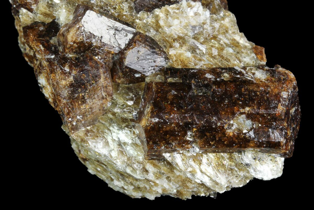 Brown Dravite Tourmaline Crystals in Mica - Western Australia (#96310