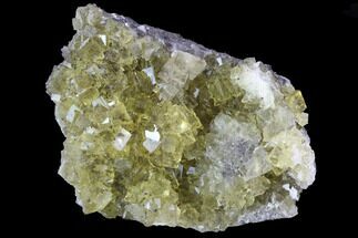Gemmy, Yellow Fluorite Crystal Cluster - Asturias, Spain #98689