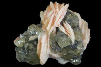Large, Cerussite Crystals with Barite on Galena - Morocco #98720