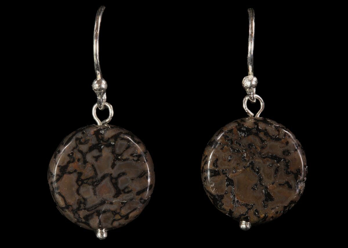 Polished Fossil Dinosaur Bone (Gembone) Earrings (#93341) For Sale ...