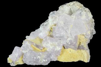 Purple Fluorite Crystal Cluster - Mongolia #100750