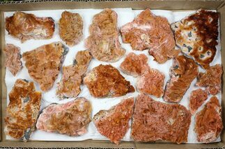 Lot - Pink and Orange Bladed Barite - Pieces #103745