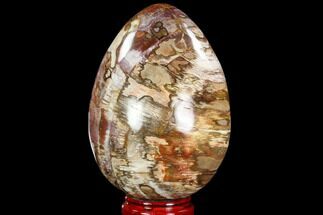Colorful, Polished Petrified Wood Egg - Triassic #104628