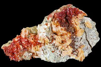 Ruby Red Vanadinite With Barite Flowers - Morocco #104745