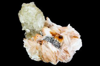 Cerussite Crystal with Bladed Barite & Galena- Morocco #107894
