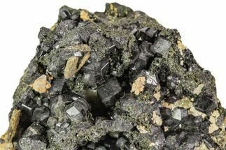 Black Andradite (Melanite) Garnet Cluster - Morocco #107911