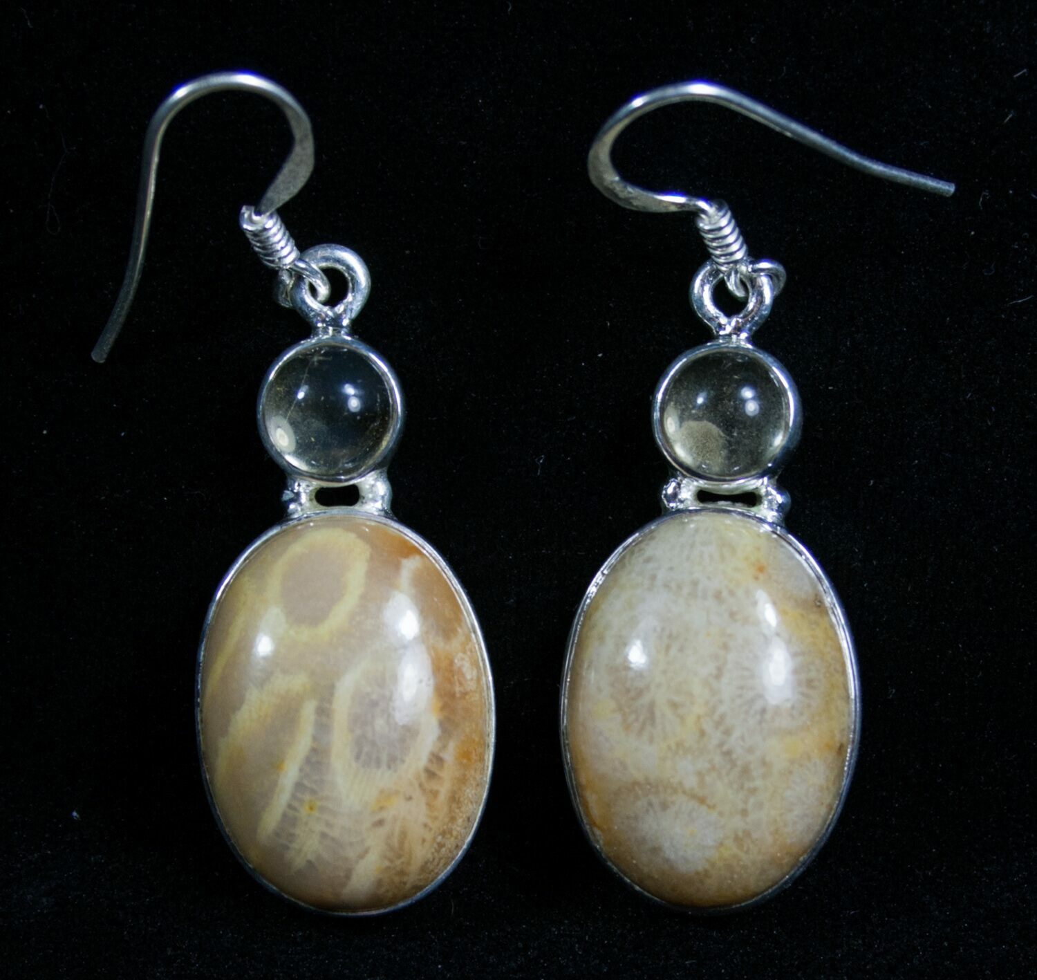 Beautiful Fossil Coral Earrings (#7681) For Sale - FossilEra.com