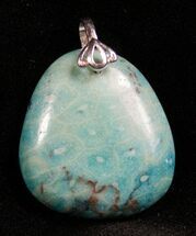 Blue Fossil Coral Pendant - Million Years Old #7697