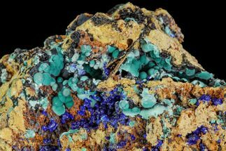 Botryoidal Rosasite and Azurite Crystals - Hidden Treasure Mine #109843