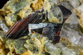 Ruby Red Brookite Crystal On Chlorite Quartz - Pakistan #111337