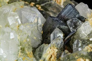 Brookite On Chlorite Quartz Crystals - Baluchistan, Pakistan #111343
